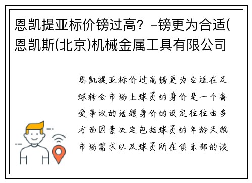恩凯提亚标价镑过高?-镑更为合适(恩凯斯(北京)机械金属工具有限公司)