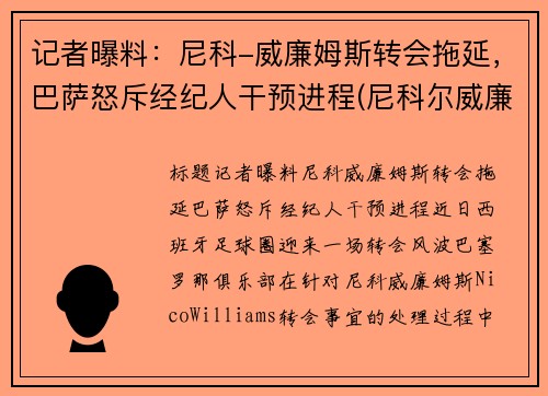记者曝料:尼科-威廉姆斯转会拖延,巴萨怒斥经纪人干预进程(尼科尔威廉姆斯)
