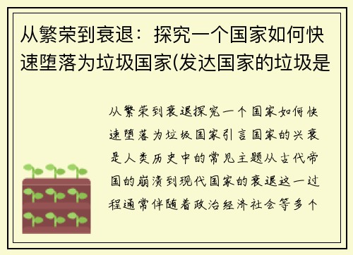 从繁荣到衰退:探究一个国家如何快速堕落为垃圾国家(发达国家的垃圾是怎么处理的)