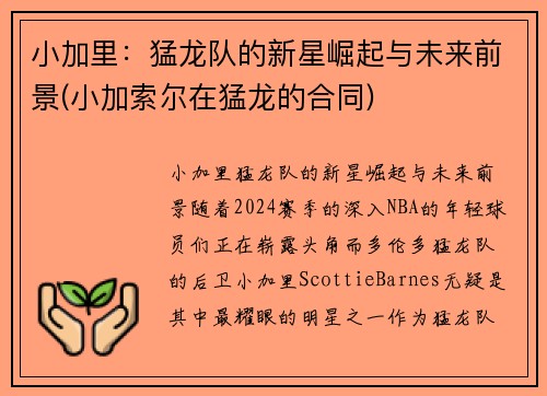 小加里:猛龙队的新星崛起与未来前景(小加索尔在猛龙的合同)