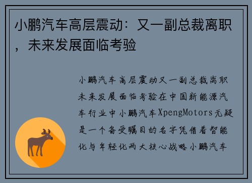 小鹏汽车高层震动：又一副总裁离职，未来发展面临考验